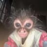 @.mayonessaa