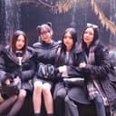 @araki.suji