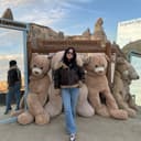@aysenurresmi_