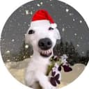 @bela_games6