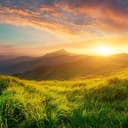 @beleza_da_natureza3