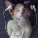 @bob_marley.is.backkk