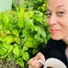 @bsgardening