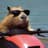 @capybaramaulua