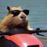 @capybaramaulua