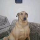 @cc_wowq.pro