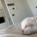 @chika_enfasi_antonia11