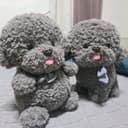 @chyuna483naver.com