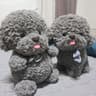 @chyuna483naver.com