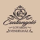 @csatangolo_lovarda