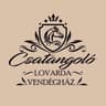 @csatangolo_lovarda