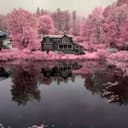 @didi7841vn4