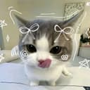 @gfdejsnkbffiklc
