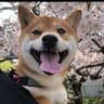 @happyhisako