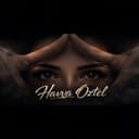 @havva.oztel