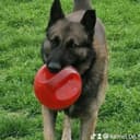 @kamel.75.france