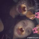 @kiara.yerlis