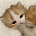 @kndus9w