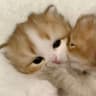 @kndus9w