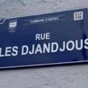 @laplusbellelionne