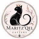 @maryamcattery