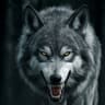 @mido12a12
