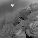 @neres309