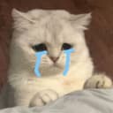 @nooyim0_0