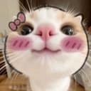 @oyayyinthesky