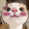 @oyayyinthesky