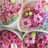 @singaporeflorist