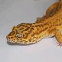 @skys.animal.zoo