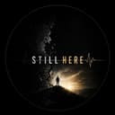 @stillhere.steady