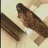 @user96181032590362
