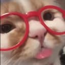 @www.tiktok.compeang.fa