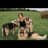 @x_emiiii