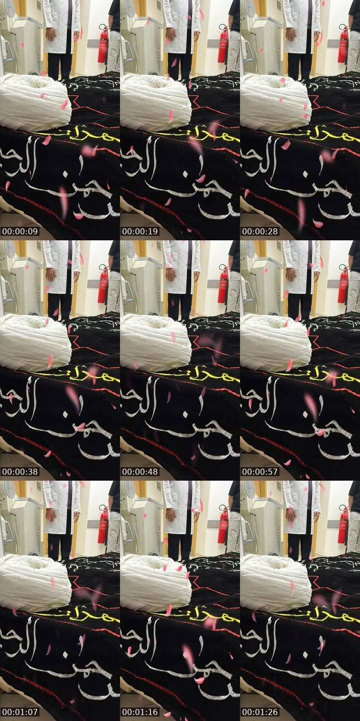 @67ws4 TikTok live stream