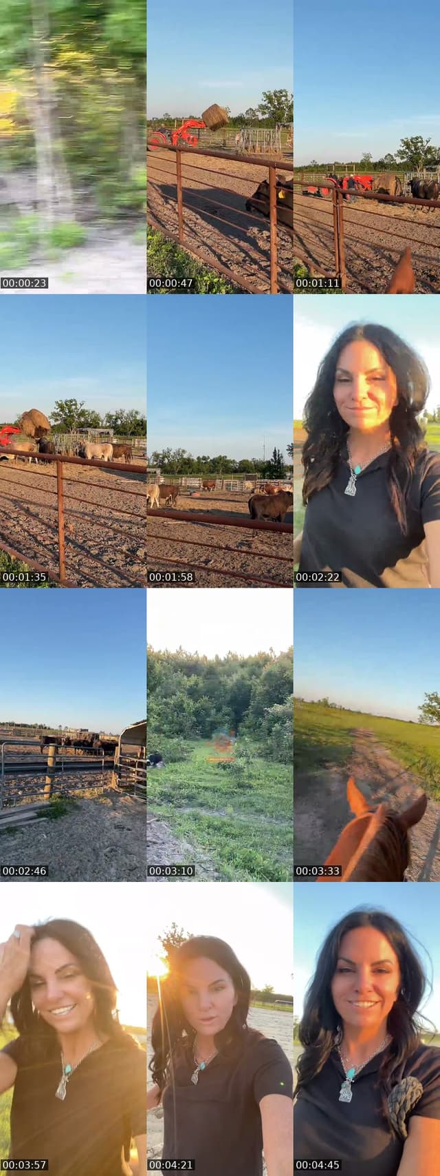 TikTok live: Sundown Cattle Co by @stephonthemorningride