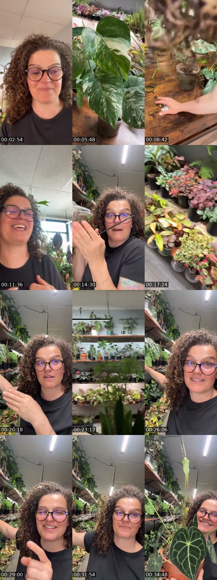 @rootedplantshop TikTok live stream