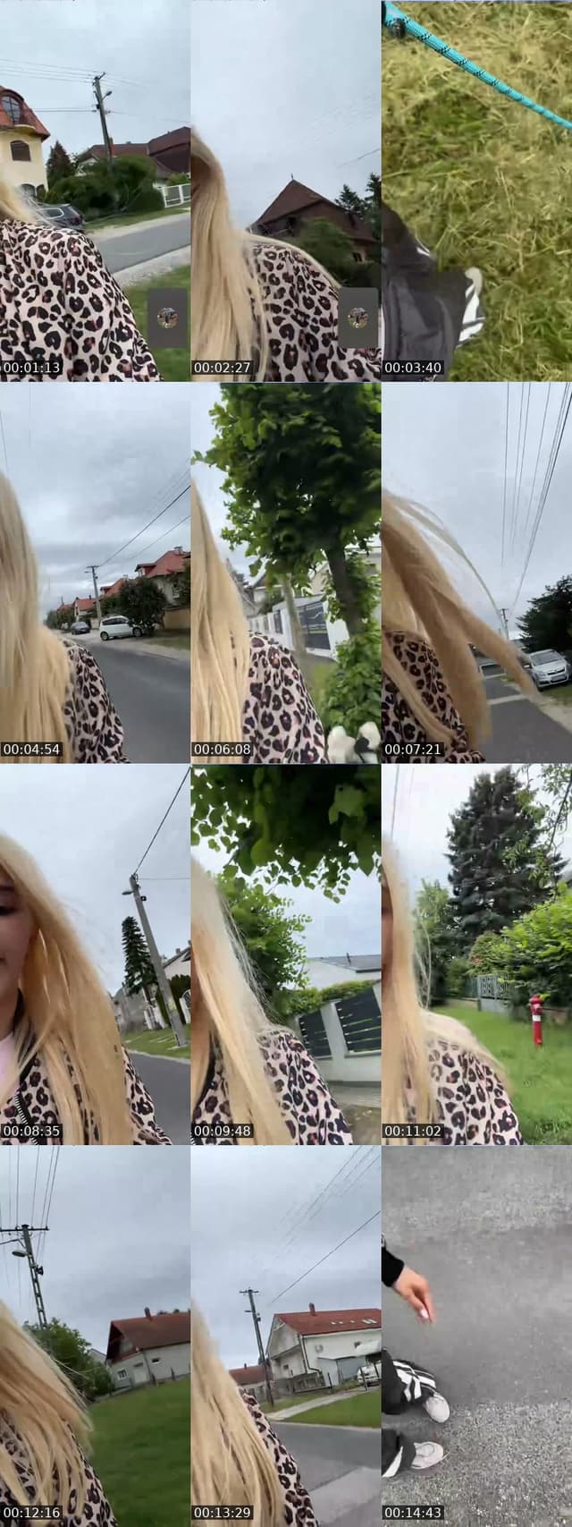 Seta - @bogica_hhh