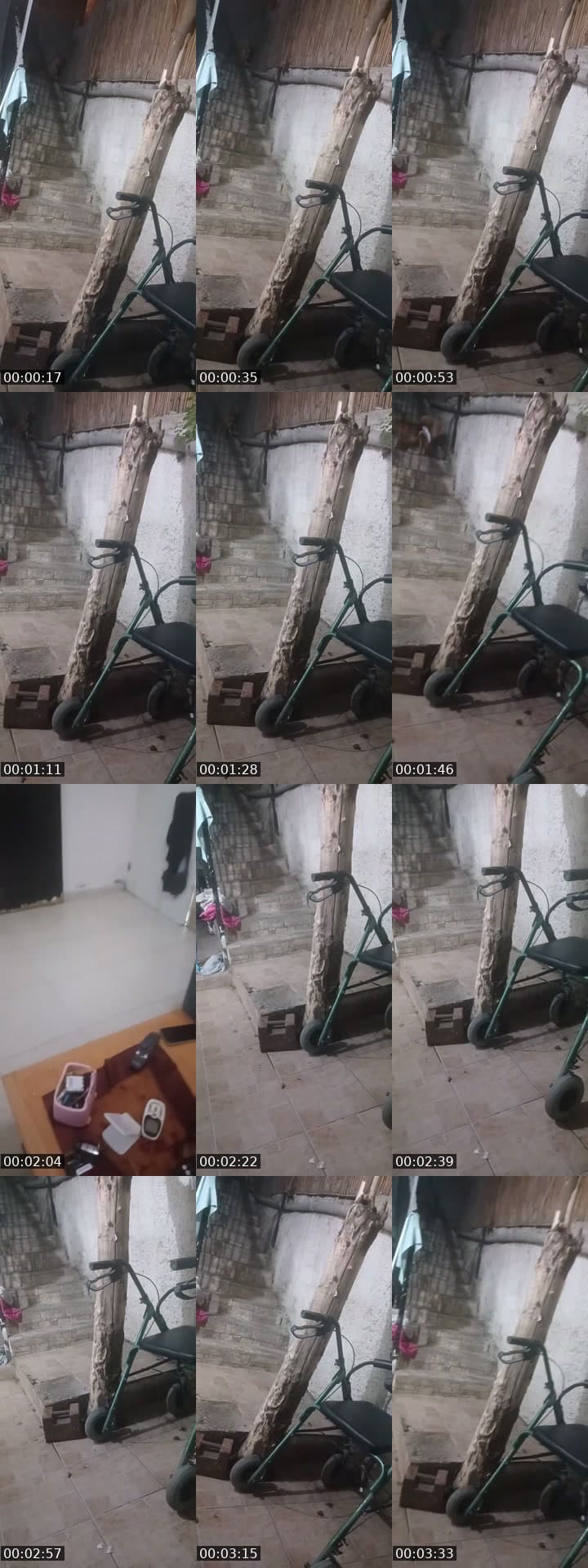 @anabala07 TikTok live stream