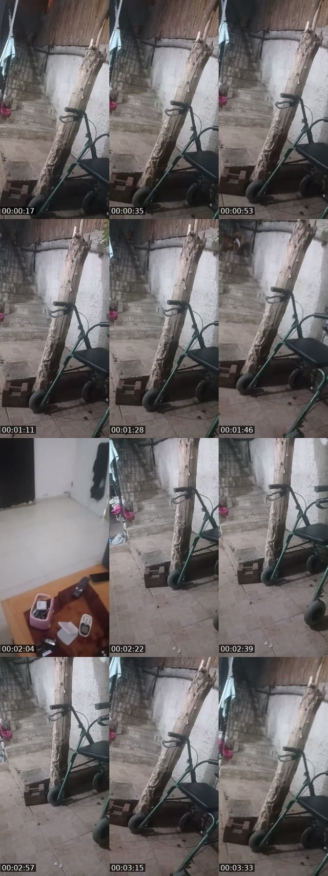 @anabala07 TikTok live from 2026-06-05