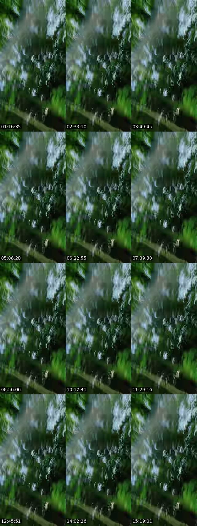 TikTok live: Good morning🎃 by @_tonimichellebrand_
