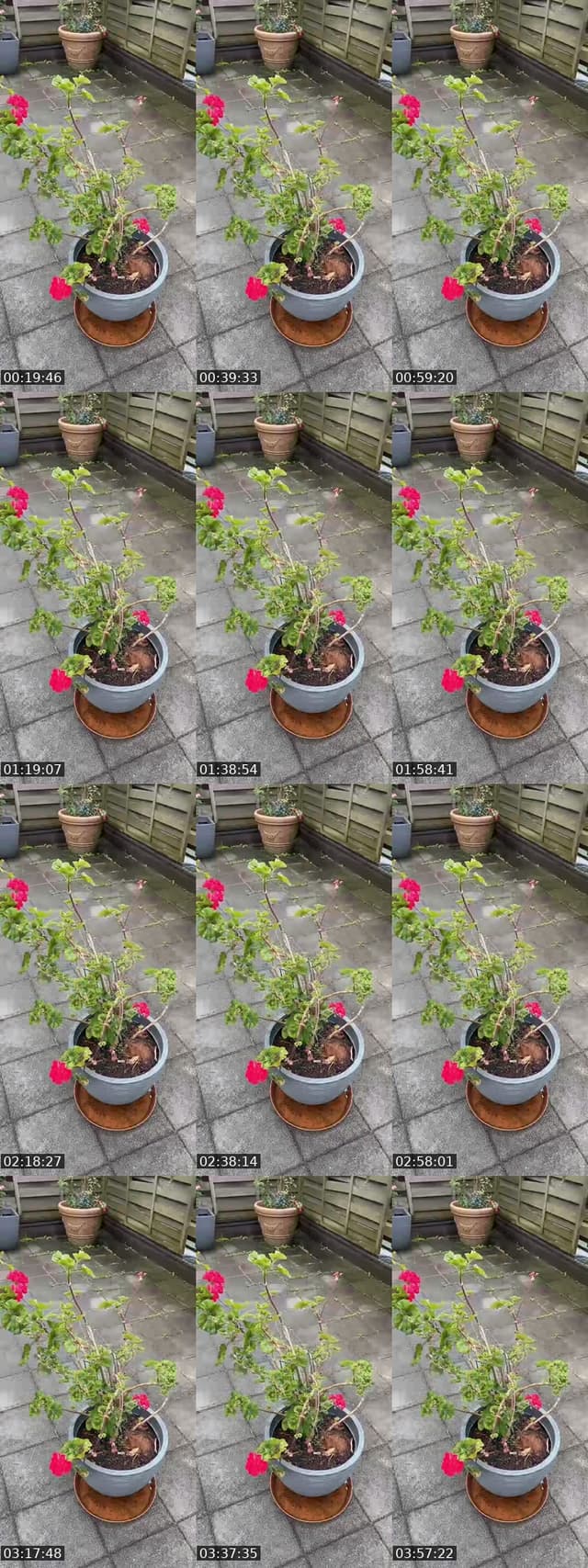 @ruthnovelinpardede TikTok live from 2026-06-06