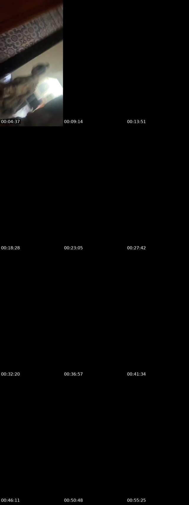 @very.much211 TikTok live from 2026-06-07
