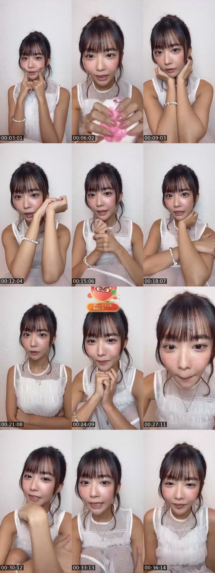 こんばんわん