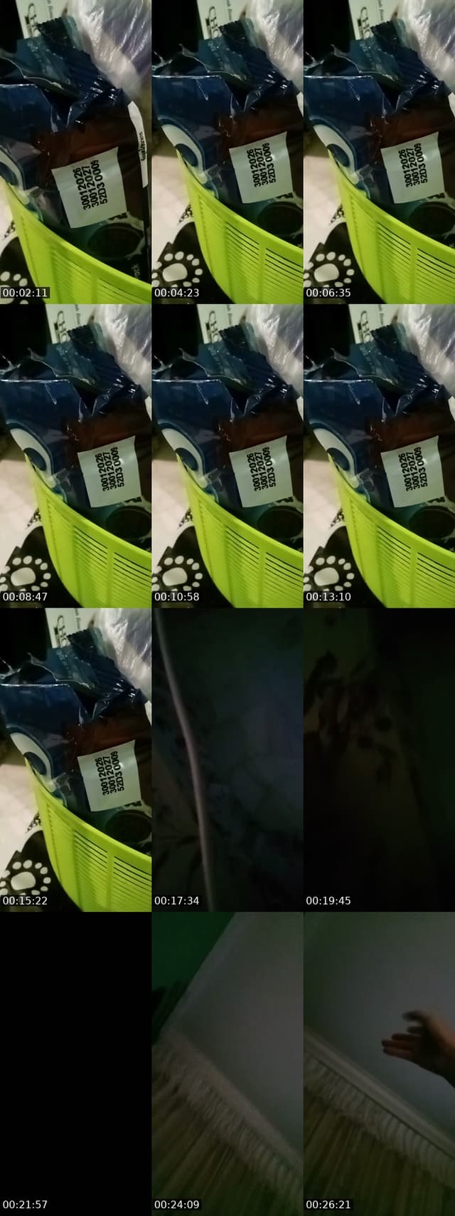 @bearbear11221 TikTok live from 2026-06-08
