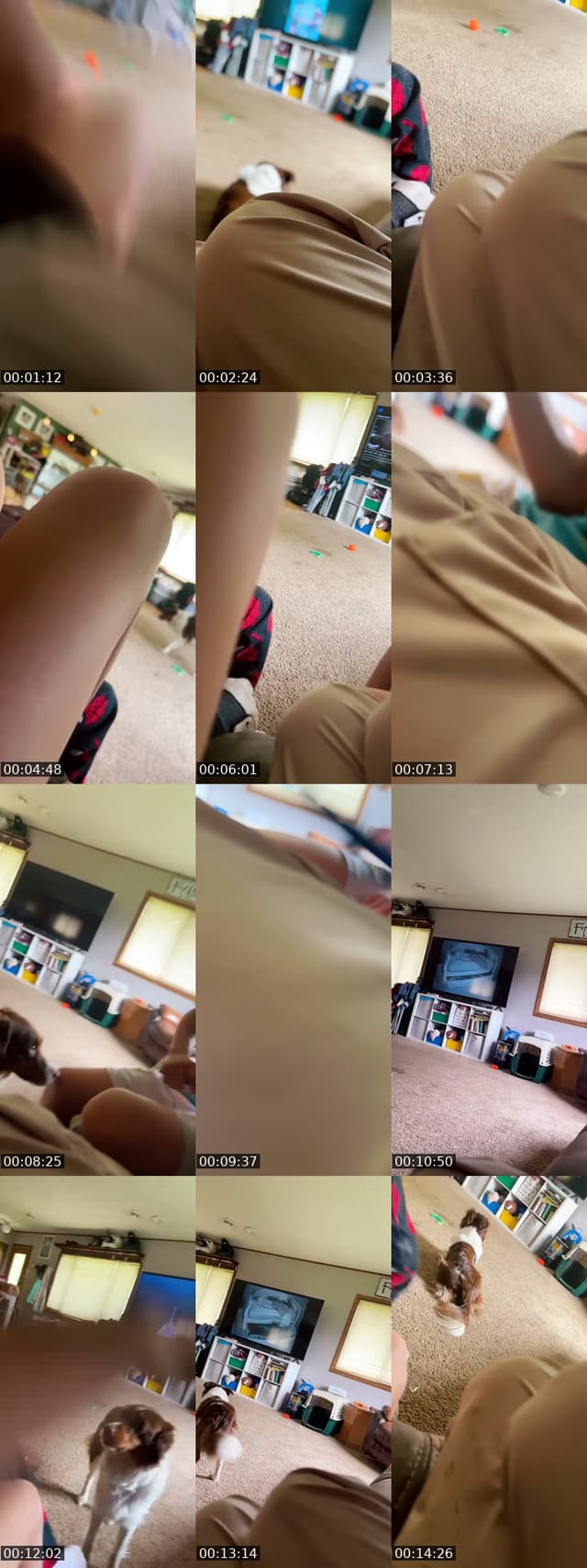 @usergjj8c5ovp0 TikTok live from 2026-06-09