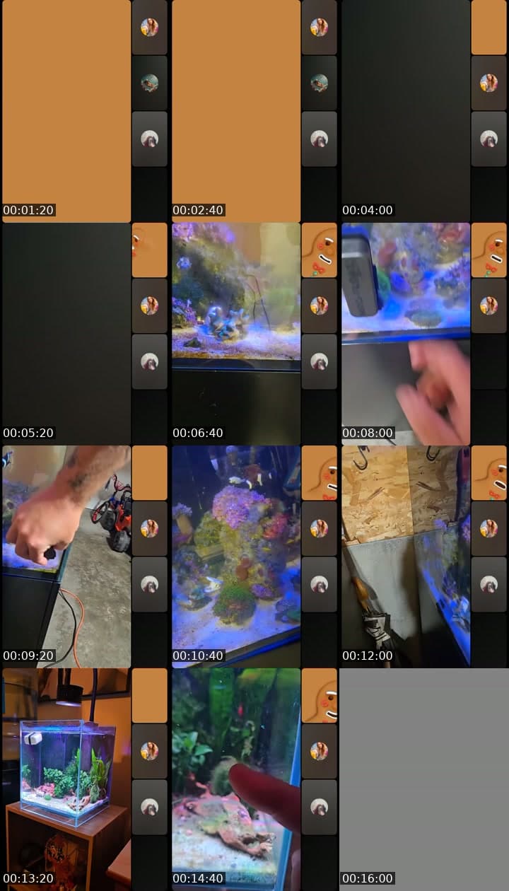 @daveqc1 TikTok live stream