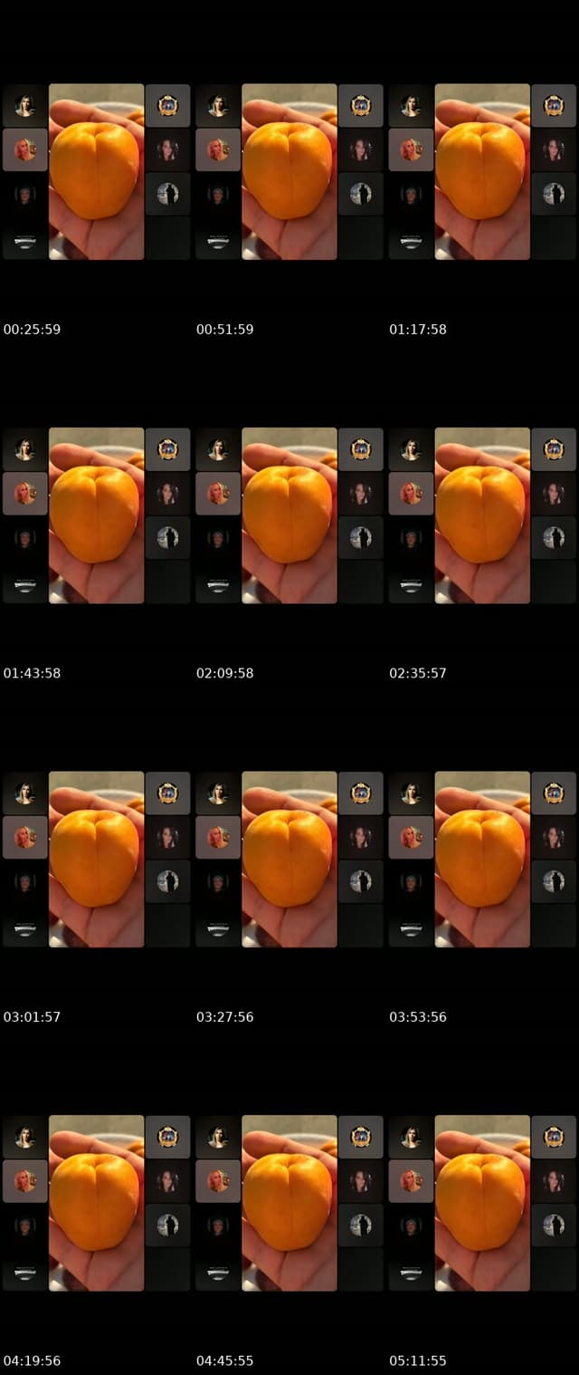 @toto.co.il TikTok live
